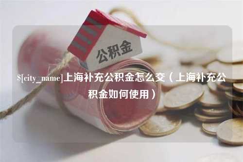 南阳上海补充公积金怎么交（上海补充公积金如何使用）